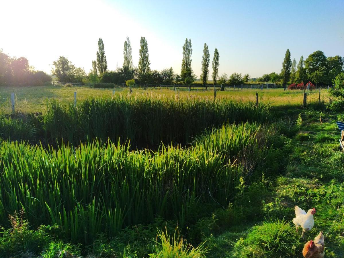 O'Bon'Eure Villa Bray Exteriör bild